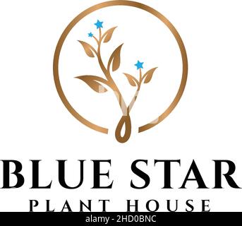 Modern design BLUE STAR PLANT HOUSE logo design Stock Vector