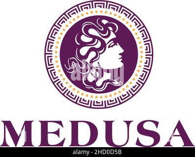 Modern flat design MEDUSA mystic snake logo design Stock Vector