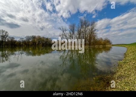 After a flood in the Lonjsko Polje National Park in Croatia. Stock Photo