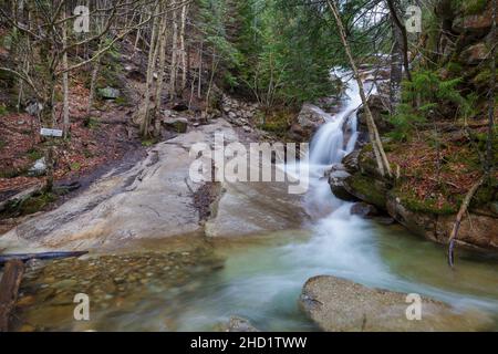 Swiftwater Falls on Dry Brook in Lincoln, New Hampshire on a cloudy spring day during the month of April. This is a trailside waterfall along the Fall Stock Photo