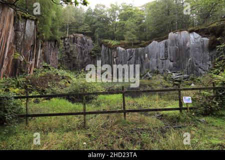 The Dolt Quarry nature reserve, Borrowdale pass valley, Lake District National Park, Cumbria, England, UK Stock Photo