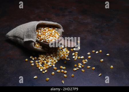 Corn with wooden scoop in burlap bag isolated on dark rustic background. Corn seeds in sack. Dry uncooked corn grains for popcorn Stock Photo