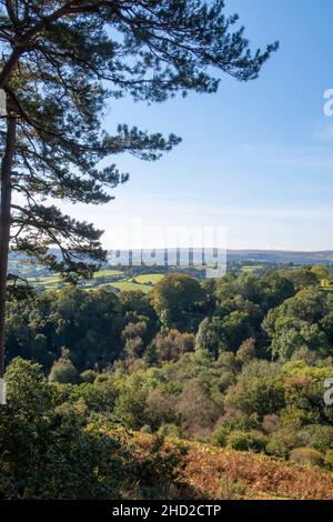 View across Dartmoor from near Castle Drogo, near Drewsteignton, Devon. Stock Photo