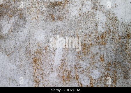 Old distressed white washed plaster wall with damp, grunge background or texture Stock Photo