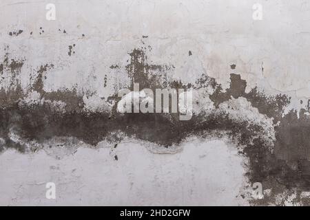 Old whitewashed lime wall with damp, white grunge background or texture Stock Photo