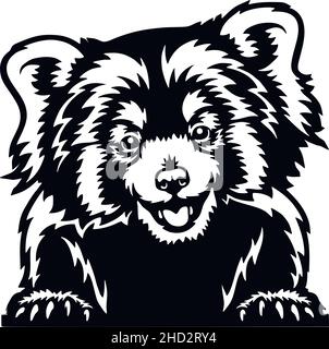Peeking Red Panda - Funny Wild Animal peeking out - face head isolated on white vector stock Stock Vector