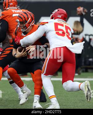 Bengals chiefs hi-res stock photography and images - Page 2 - Alamy