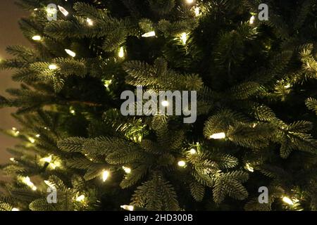 Lights on a Christmas tree Stock Photo