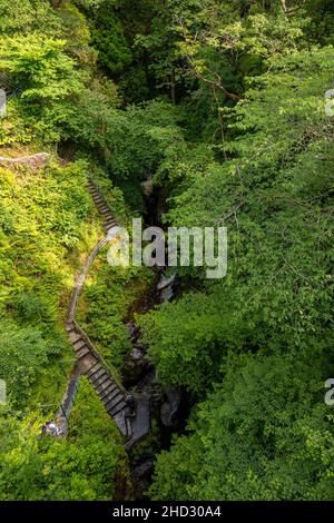 River Mynach gorge at Devil's Bridge, Ceredigion, Wales Stock Photo