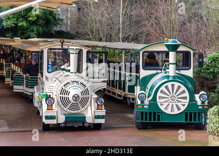 Lost Madagascar Express trains in 'station' at Colchester Zoo, Essex, UK. Transport experience for zoo visiting public. Built by Dotto Trains, Italy Stock Photo