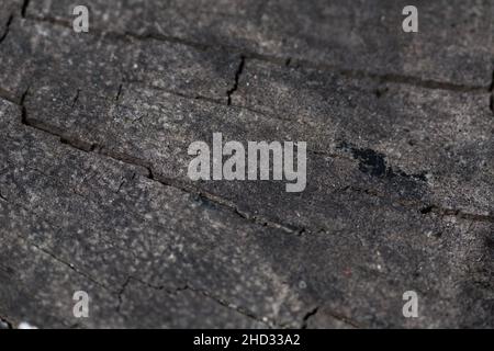 Close-up shot of the gray cracked stone background Stock Photo
