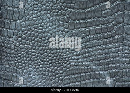 Fragment of genuine reptile skin artificially dyed shiny black. Background, pattern, texture. Stock Photo