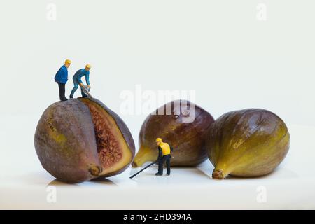 Workers cutting figs with a chainsaw isolated on white background Stock Photo