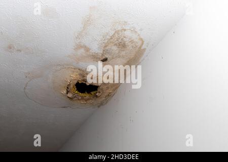 Water leak causing damage to ceiling Stock Photo