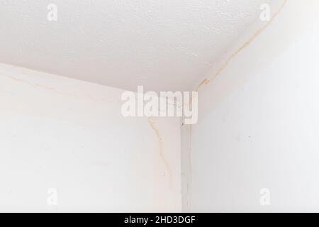 Stains on ceiling and wall from water leak Stock Photo