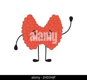 Happy kawaii thyroid gland character. Drawing of a smile thyroid gland. Vector illustration isolated in cartoon style on white background Stock Vector