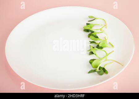Micro greens on a white plate. Microgreen sunflower seed. Healthy food concept from fresh garden products grown organically. Symbol of health Vitamins Stock Photo