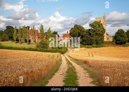 Path through Wheat fields to Oast houses and St Margaret's Church, Horsmonden, Kent, UK Stock Photo