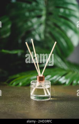 Aroma reed diffuser, home fragrance bottle with rattan sticks and smell of freshness on dark background with green palm leaves Stock Photo