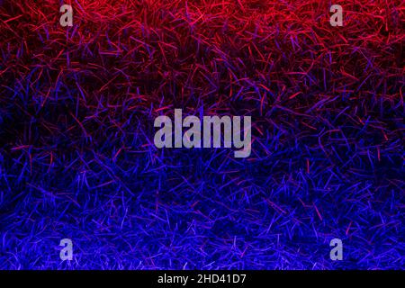 Grass neon background. Futuristic floral poster, greeting card, invitation. Dark night concept stock backgroiund, copy space Stock Photo
