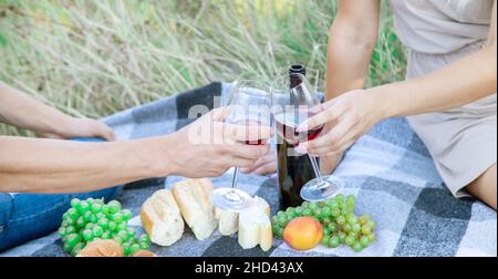 picnic in nature, a girl and a man are holding glasses in their hands with wine. Stock Photo