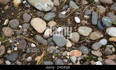 Stony soil texture. Gray dry earth with small stones. View from above. Stock Photo
