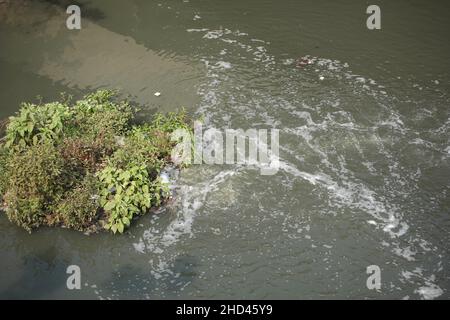 Polution on lake. Dirty water  Stock Photo