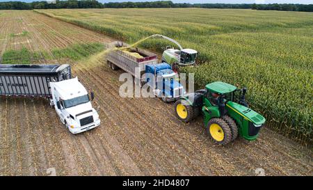 Corn silage harvest in a farm during the day Stock Photo