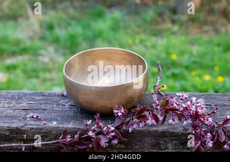 Tibetan bowl made of seven metals in the springtime garden Stock Photo