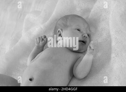 Newborn baby girl lies on the bed. The baby has just turned two weeks old. Newborn care concept. Stock Photo