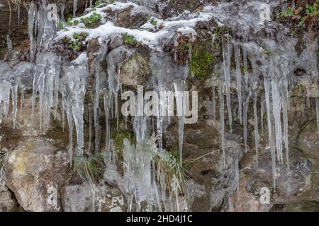 Winter view of icicles hanging from rock face, Peak District, Derbyshire, UK. Stock Photo