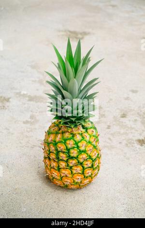 Close up of freshly picked ripe juicy delicious MG3 variety pineapple fruit with crown on it on light background. Portrait orientation. Stock Photo