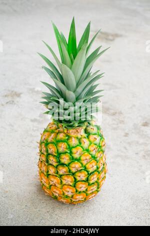 Close up of freshly picked ripe juicy delicious MG3 variety pineapple fruit with crown on it on light background. Portrait orientation. Stock Photo