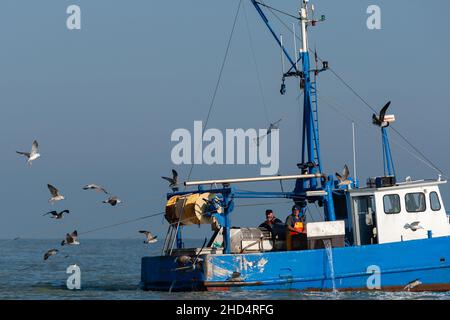 Closeup of a fishing boat swimming in the sea surrounded by seagulls in Nieuwpoort, Belgium Stock Photo