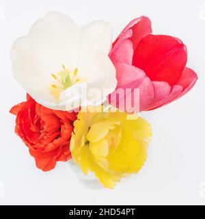 https://l450v.alamy.com/450v/2hd54pt/birds-eye-view-of-colorful-tulips-in-a-vase-2hd54pt.jpg