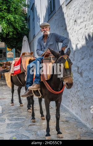 Donkey transport in Hydra. Stock Photo