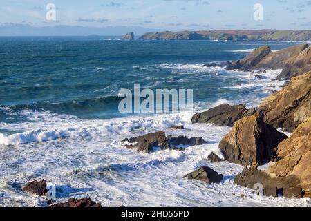 Skomer Marine Nature Reserve with Skomer Island and the Pembrokeshire Coast Path, South Wales Stock Photo