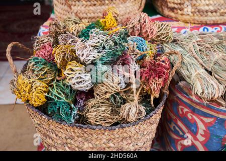 Selaginella lepidophylla or Lycopodium lepidophyllum, Anastatica. Flower of stone, Saint Mary's flower, resurrection plant, resurrection moss, doradil Stock Photo