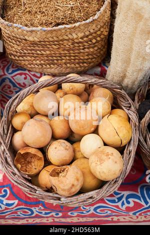 Citrullus Colocynthis (also know as Tumma, Desert Gourd) is a herbal fruit in the basket. Stock Photo