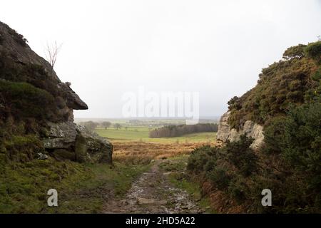 Bridlepath through a rocky outcrop at Shaftoe Crags in Northumberland, England. The crags are on a footpath near Bolam Lake. Stock Photo