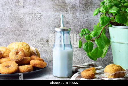 Closeup of Delicious Donuts on a plate next to a milk bottle and a plant pot against a gray wall Stock Photo