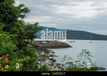 View through foliage towards rock wall of Coral Sea Marina at Airlie Beach, Queensland, Australia, with yachts at anchor in the bay Stock Photo