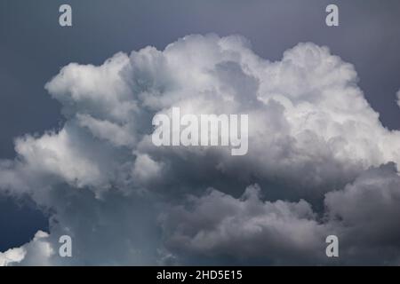 White cloud texture. Air material backdrop. Sky effect pattern. Wallpaper and background. Stock Photo