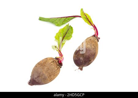 Fresh organic beetroot with freshly harvested leaves on isolated white background Stock Photo