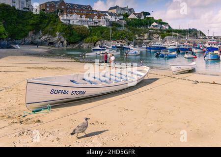 Traditional Cornish pilot gigs Sophia Storm and Concord beached on the beach in the historic picturesque working Newquay Harbour in Newquay in Cornwall. Stock Photo