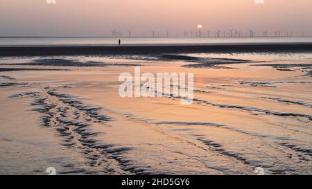 One of the one hundred Iron Men statues seen at the end of muddy channels on Crosby Beach. Stock Photo