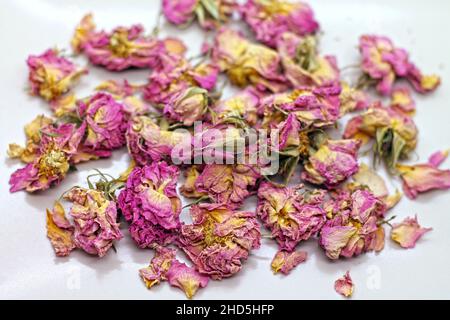 Dry rose buds tea on white background. Selektive focus. Stock Photo