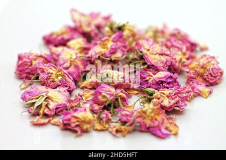 Dry rose buds tea on white background. Selektive focus. Stock Photo