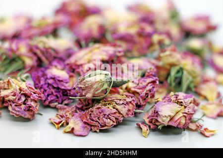 Dry rose buds tea on white background. Selektive focus. Stock Photo