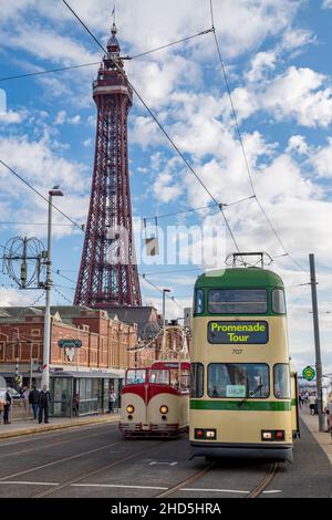 Old trams under Blackpool Tower. Stock Photo